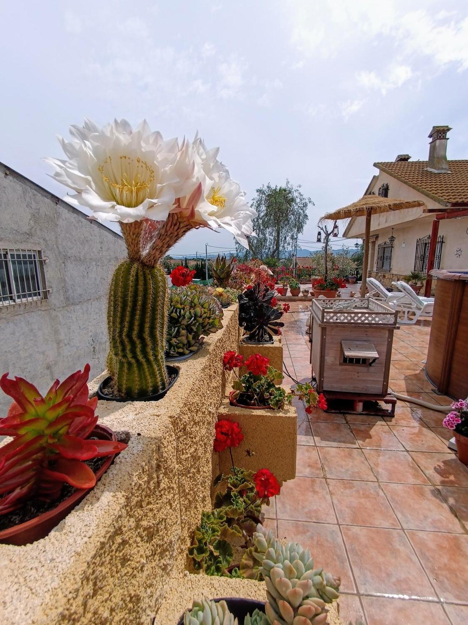 Casa Chalet Venta Ruizo Лорка Экстерьер фото